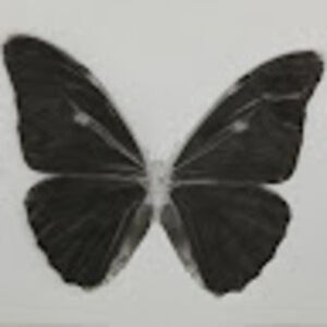 Meet your Posher, Helena